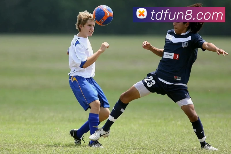 腾达娱乐官网平台生态图